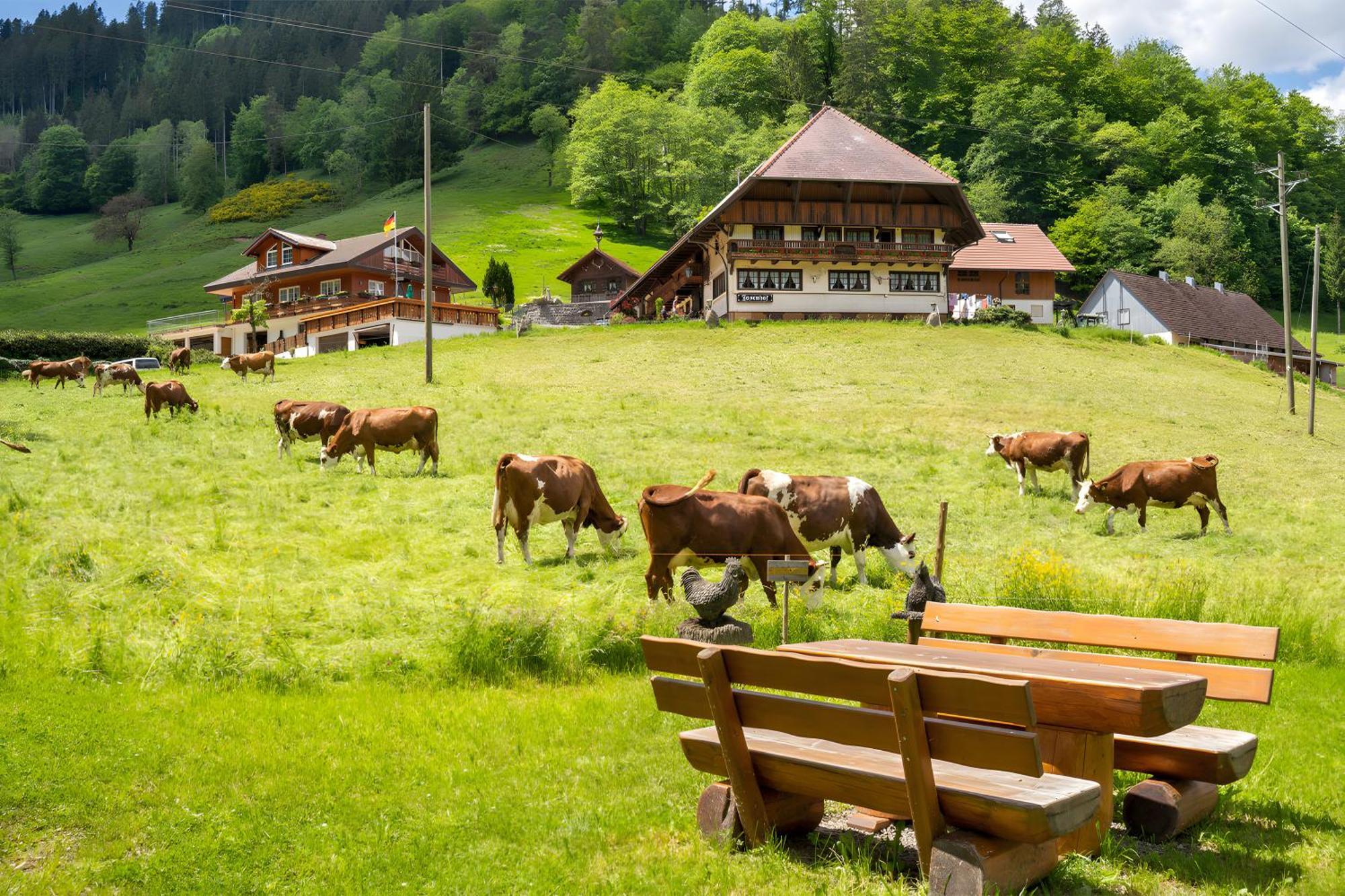 Josenhof Hotell Wolfach Exteriör bild